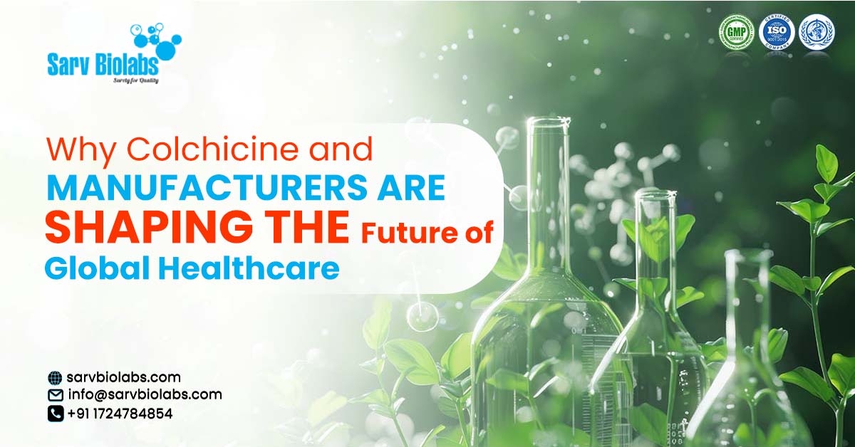 How Indian API Manufacturers Are Shaping the Future of Global Healthcare