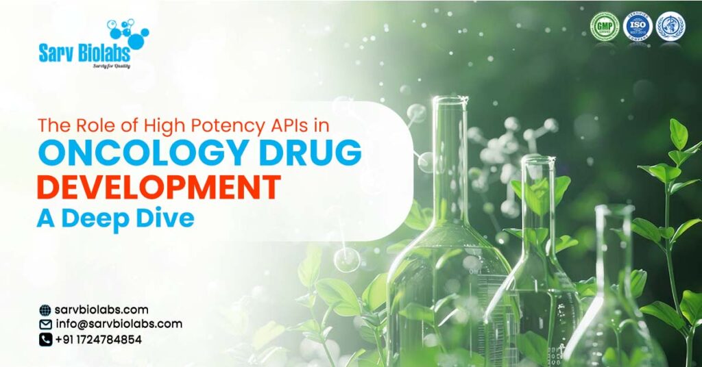 Exploring the Role of APIs in Oncology Drug Development